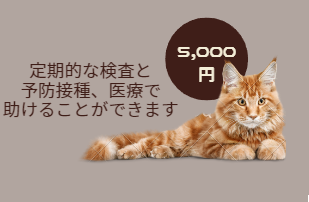 5,000円:定期的な検査と予防接種、医療で助けることができます